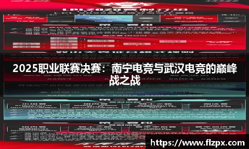 2025职业联赛决赛：南宁电竞与武汉电竞的巅峰战之战